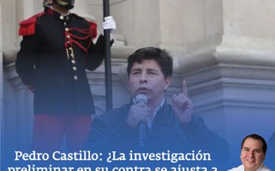 Pedro Castillo: ¿La investigación preliminar en su contra se ajusta a la constitución?