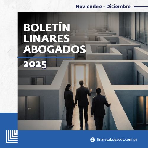 Boletin Noviembre - Diciembre 2025